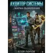 Постер книги Аудитор Системы: Маржа выживания