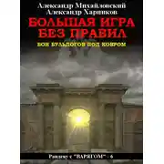 Постер книги Большая игра без правил