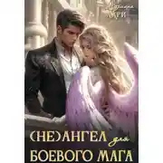 Постер книги (Не)ангел для боевого мага