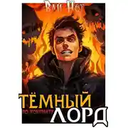Постер книги Тёмный лорд по контракту