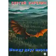 Постер книги Между двух миров