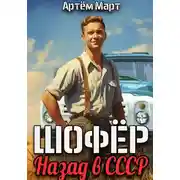 Постер книги Шофёр. Назад в СССР