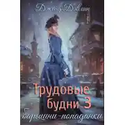 Постер книги Трудовые будни барышни-попаданки 3
