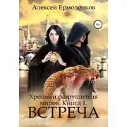 Постер книги Хроники разрушителя миров. Книга 1. Встреча