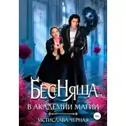 Постер книги Бесеняша в Академии Магии