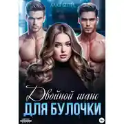 Постер книги Двойной шанс для булочки
