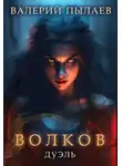 Валерий Пылаев - Волков. Дуэль