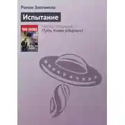 Постер книги Испытание