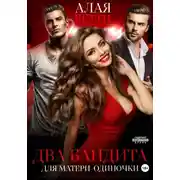 Постер книги Два бандита для матери-одиночки