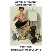Постер книги Ревизор: возвращение в СССР 15