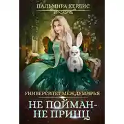 Постер книги Университет Междумирья. Не пойман – не принц