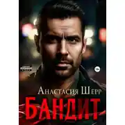 Постер книги Бандит