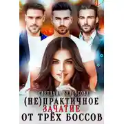 Постер книги (Не)практичное зачатие от трёх боссов