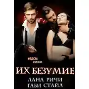 Постер книги Их безумие