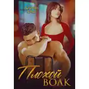 Постер книги Плохой Волк