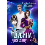Постер книги Дубина для Золушки