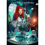 Постер книги Госпожа чародейка