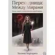 Постер книги Переходница: Между Мирами