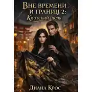 Постер книги Вне времени и границ 2: Киотский шелк