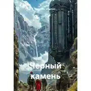 Постер книги Черный камень