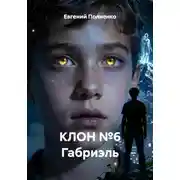 Постер книги КЛОН №6 Габриэль
