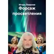 Постер книги Форсаж просветления