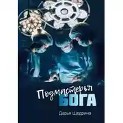 Постер книги Подмастерья бога