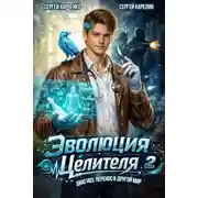Постер книги Эволюция целителя 2