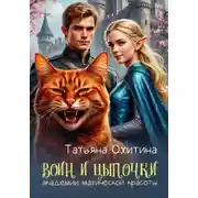 Постер книги Воин и цыпочки академии магической красоты