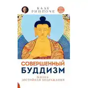 Постер книги Совершенный буддизм. Том I. Жизнь достойная подражания