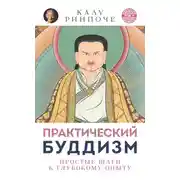 Постер книги Практический буддизм. Том V. Простые шаги к глубокому опыту