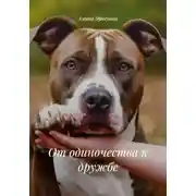 Постер книги От одиночества к дружбе