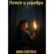Постер книги Пепел и серебро