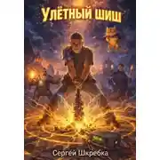 Постер книги Улётный Шиш.