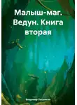 Владимир Поселягин - Малыш-маг. Ведун. Книга вторая