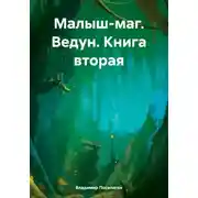 Постер книги Малыш-маг. Ведун. Книга вторая
