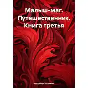 Постер книги Малыш-маг. Путешественник. Книга третья