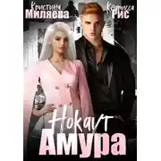 Постер книги Нокаут Амура