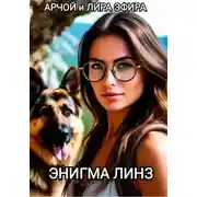 Постер книги ЭНИГМА ЛИНЗ