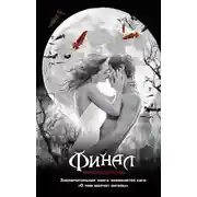 Постер книги Финал