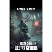 Постер книги Новая Зона. Шестая ступень