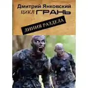 Постер книги Линия раздела