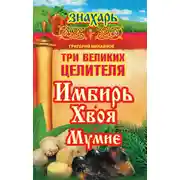 Постер книги Три великих целителя: имбирь, хвоя, мумие