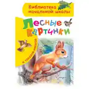 Постер книги Лесные картинки