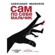 Постер книги Сам по себе мальчик