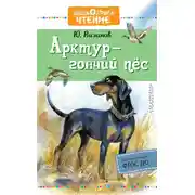 Постер книги Арктур – гончий пёс