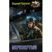 Постер книги Перевертыш