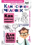 Борис Сергеев - Как устроен человек