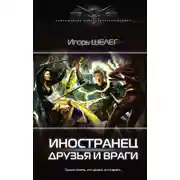Постер книги Иностранец. Друзья и враги