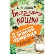 Постер книги Беспризорная кошка (сборник). С вопросами и ответами для почемучек